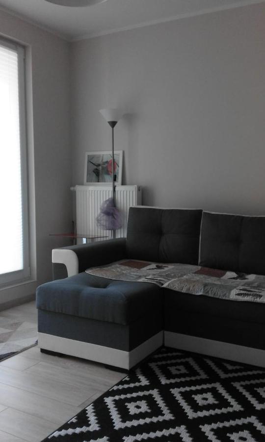 Apartament Wyśmienity Miodowy *